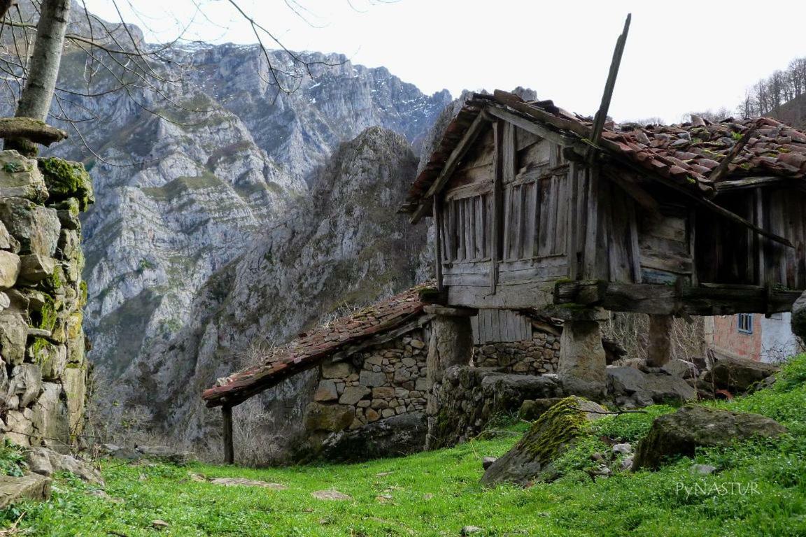 La Nana Del Mar / The Lullaby Of The Sea On Old Harbour Apartment Cudillero Exterior foto