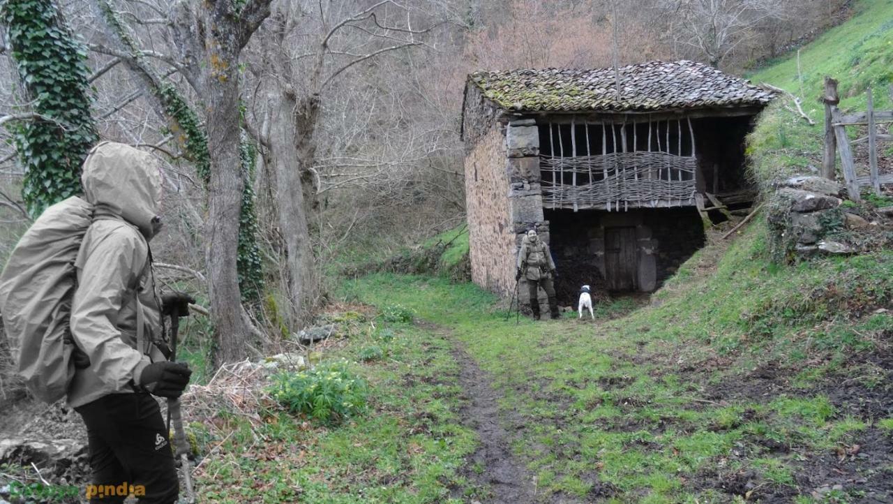 La Nana Del Mar / The Lullaby Of The Sea On Old Harbour Apartment Cudillero Exterior foto